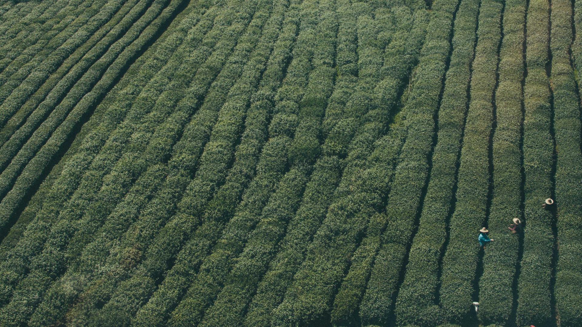 Sualtı Dalış