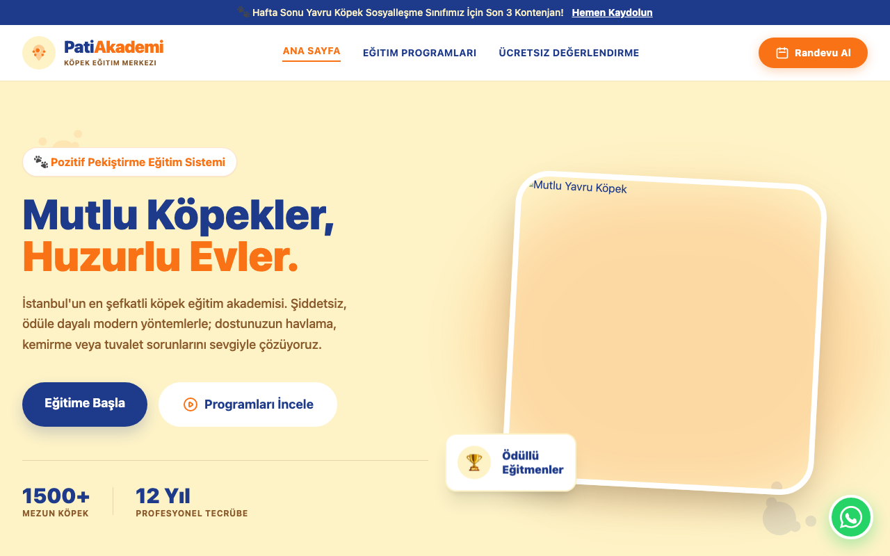 PatiAkademi | Profesyonel Köpek Eğitim Merkezi
